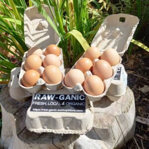 Local Free Range Eggs x 12