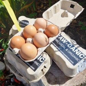 Local Free Range Eggs x 6